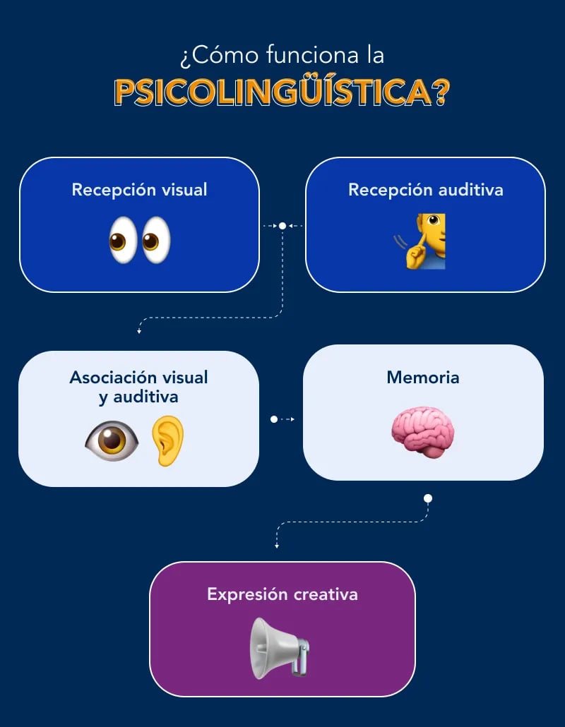 areas-de-estudio-en-psicolinguistica