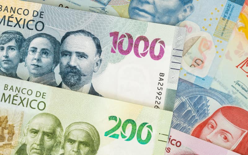 salario de un profesor en mexico